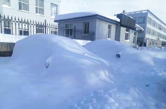 211109 - ��ѩ��������������ǲ���ҳ�����ſ�_����.jpg